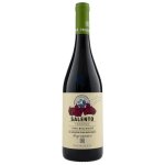 Terreno Negroamaro IGT Bio, 2017, Paolo Leo
