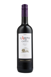 Merlot, suché, Campo de Chile