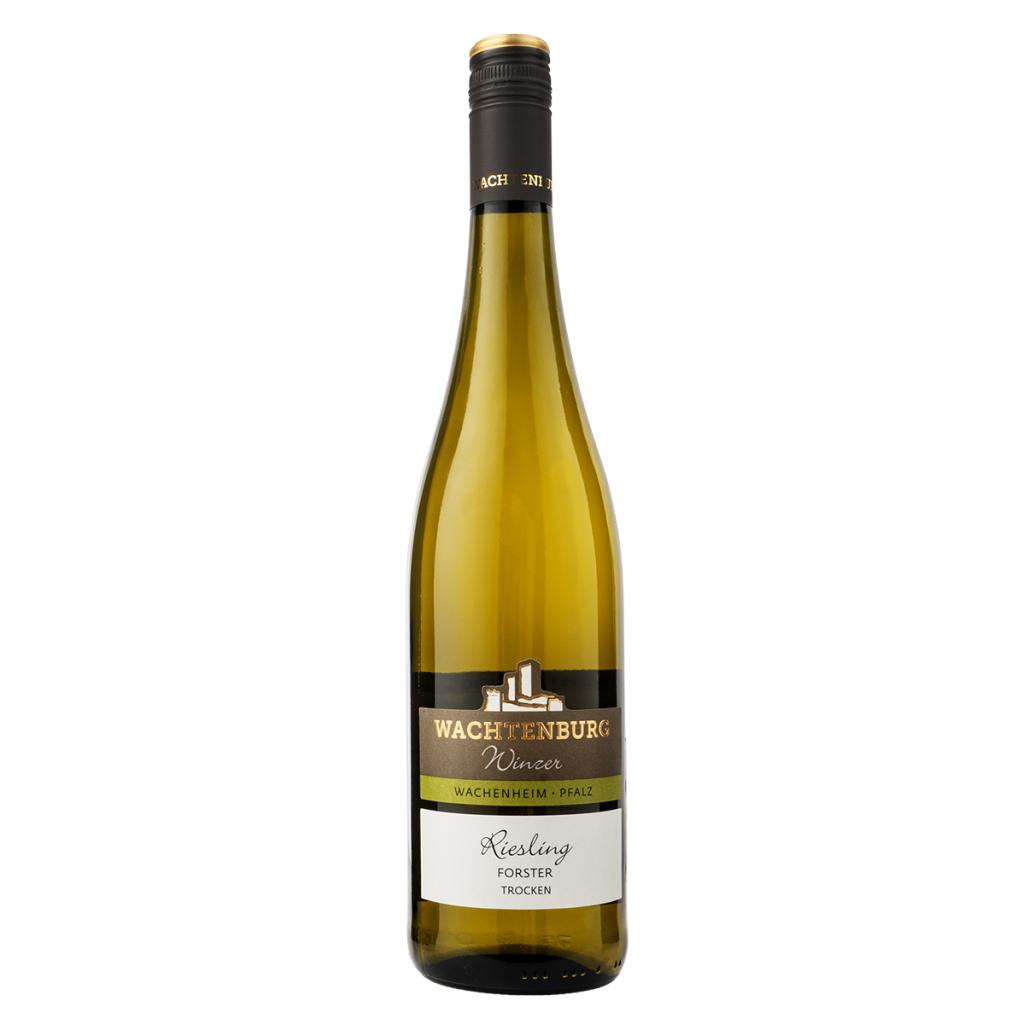 Riesling Forster 2023, suché, Wachtenburg