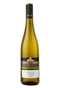 Riesling Forster 2023, suché, Wachtenburg