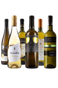 Top výběr Chardonnay