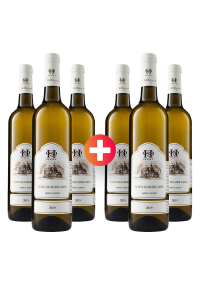 3 + 3  ZDARMA Souvignier Gris 2019, sladké, Vinařství Pavel Hruška