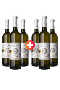 3 + 3  ZDARMA Rulandské šedé BARRIQUE 2019, suché, Rodinné vinařství Vavříček